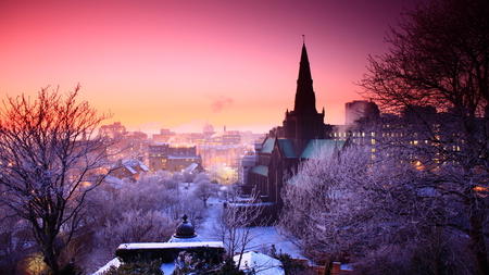 Winter Sunset - sky, rosy, trees, snow, city, winter, sunset, buildings