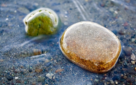 Stones In Stream - pretty, abstract, water, photography, pebbles, stream, gold, stones, shiny, soil, nature, green, rocks