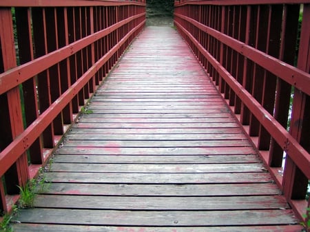 Lovely Walkway - photography, peaceful, lovely, relaxing, nature, pathway, walkway, pretty, tranquil, beautiful, architecture, bridge