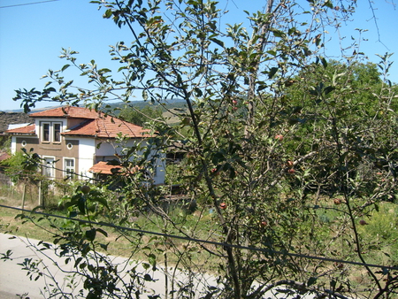 Through my window - summer, road, photo, village, photography, house, tree, nature, mountain, bulgaria, green