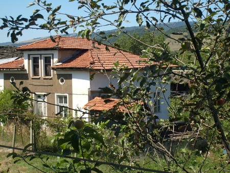 Beautiful House - apple, photo, village, old, photography, house, tree, nature, mountain, bulgaria, green