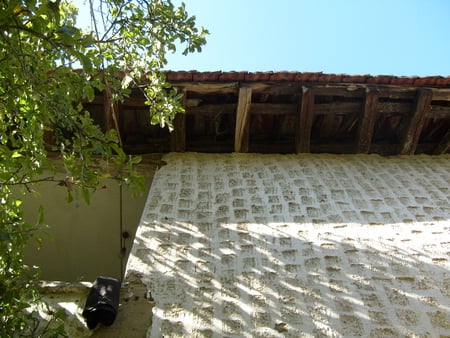 House - house, white, nature, photography, photo, architecture, tree, bulgaria