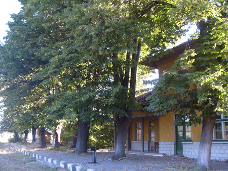 Old Station - buiding, photo, old, architecture, photography, station, trees, nature, bulgaria