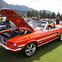 Ford Mustang 1968 Convertible in Radium Hot Springs car show 33 