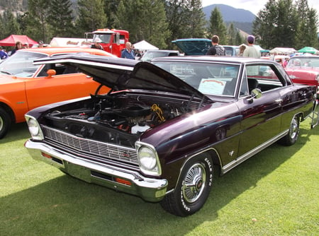 Chevrolet 1966 in Radium Hot Springs car show 35 - nickel, tent, chevrolet, trees, photography, mountains, burgundy, black, white, headlights, silver, car, red, tire, orange, green