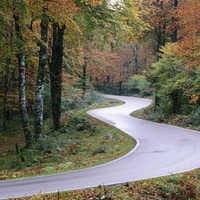 Winding Road