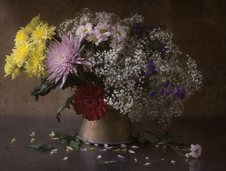 Still Life - photography, colorful, colorful flowers, daisy, still life, pretty, gerbera, petals, beautiful, flowers, colors, daisies