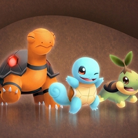 torkoal squirtle turtwig