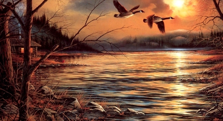 Sunset - nature, lake, sunset, gooses