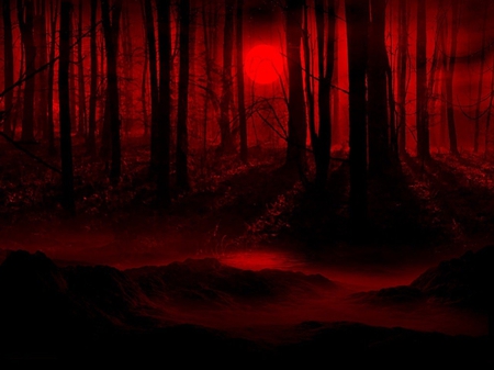 DARK NIGHT FULL MOON - moon, dark, forest, red, night