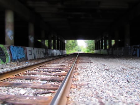 Tracks under the over pass - graffiti, pov, nature, railroad tracks