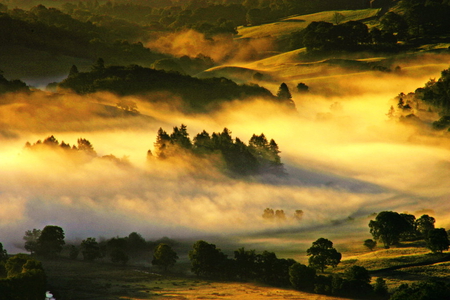 Landscupe - nature, summer, landscupe, other