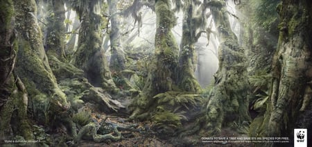 BOTANIMAL TREES - trees, animal, hidden, moss, pictures