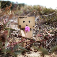 Danbo art with-flower