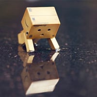 Danbo swimming attempt