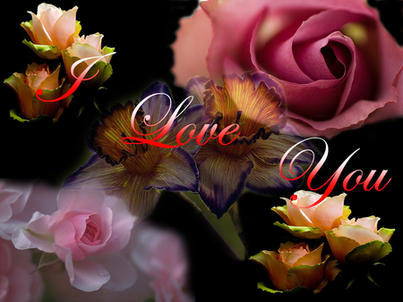 I Love You - flowers, love, scent, beautiful