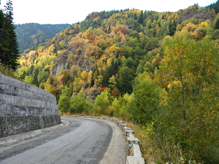 Autumn 1 - forest, colours, trip, autumn, colorful