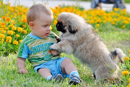 Tender friends * For KATEHATHEWAY - love, garde, people, puppy, pet, child, dog, animal, grass, friend, flower