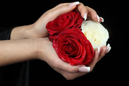 Roses - nice, woman, beauty, roses, photography, bouquet, black, rose, model, white, manicure, pretty, cool, harmony, drops, hands, girl, wet, lovely, red, beautiful, flowers, photo, elegantly, flower