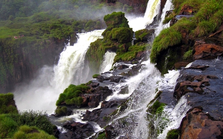 RAINFOREST FALLS - nature, majestic, falls, forest