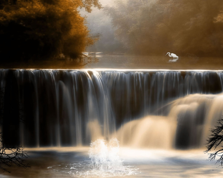 Flying In Autumn - season, autumn, waterfall, bird, white, flying, view, brown, beautiful