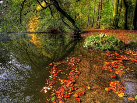 Autumn Lake - trees, scencery, beautiful, leaves, fall, nature, season, autumn, view, lake