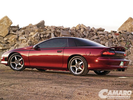 NIGHT Blooming FIEND - maroon, bowtie, chevy, gm