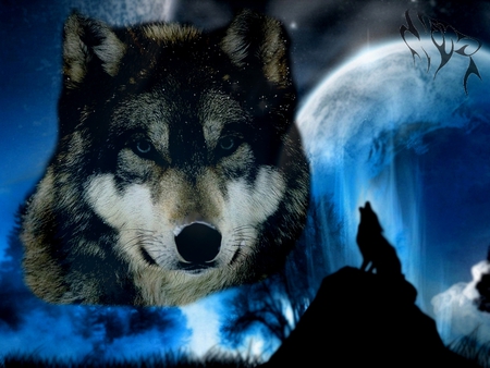 Calm wolf scene - wolf, cool, moon, scene, wolfcalmscene, blue, calm