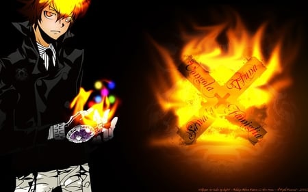 Tsuna - tsuna, katekyo hitman reborn, vongola, vongola decimo