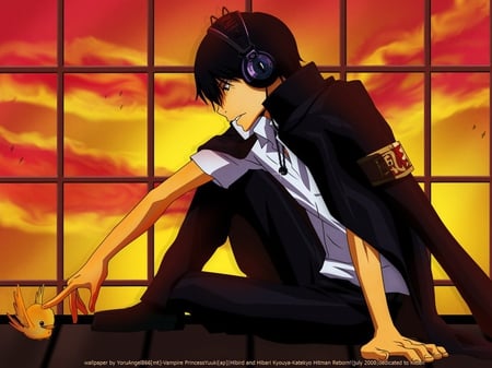 My Obsession - katekyo hitman reborn, vongola, hibari kyouya, my obsession