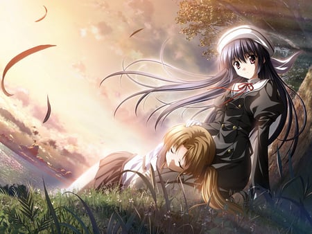 Yuuko Amamiya & Mizuki Hayama - girls, petals, mizuki hayama, tree, anime, yuuko amamiya, sleep, grass