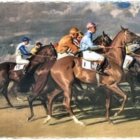 High Stakes a Newmarket - Horses 5