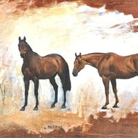 2 Thoroughbreds - Horses