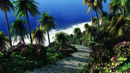 Amazing View - pathway, beaches, palm trees, amazing, blue, flowers