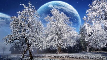 Magic Winter - moon, fence, trees, magic, winter, path, gras, nature, frozen