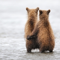 Bear hugs to all in DN!!!!!!