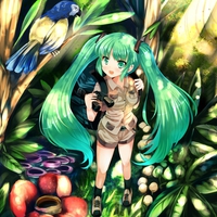 Explorer Miku