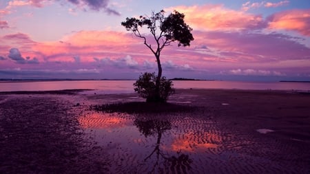 pink evening - nature, water, sky, reflection