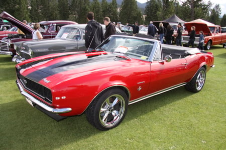 Chevrolet Camaro 1967 in Radium Hot Springs car show 53 