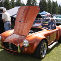 Cobra 1965 in Radium Hot Springs car show 55 