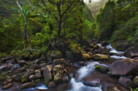 Watrerfalls - nature, waterfalls, forest, beautiful