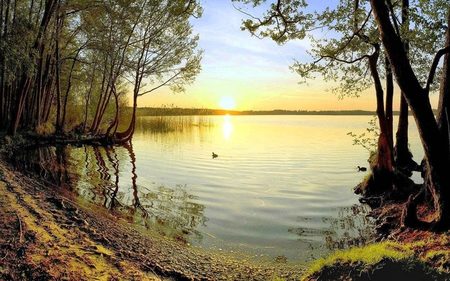 sunset-on-lake - lake, trees, nature, sunset