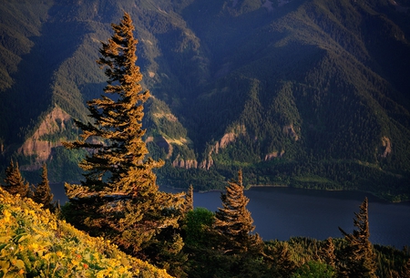 Mountain - nature, lake, trees, mountain, beautiful