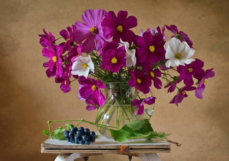 Still Life - pretty, romantic, romance, flowers, purple, pretty flowers, vase, purple flowers, white flowers, beautiful, photography, beauty, lovely, still life, grapes, white, nature, green