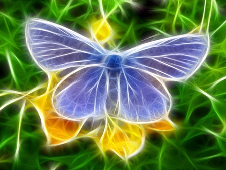 Blue Butterfly Fractile - fractile, art, butterfly, blue