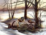 Terry Redlin