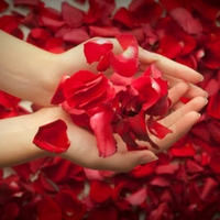 Tenderness of hands and petals