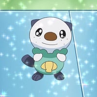 oshawott