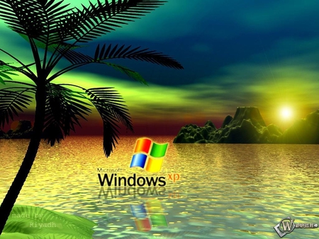 Windows Xp - windows, technology, aurora, palm, sea