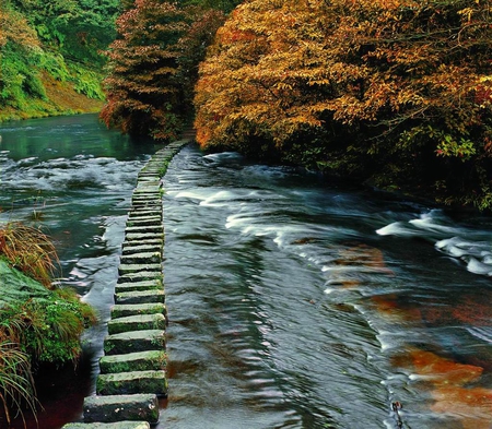 Scenic Beauty - fall, water, moving, river